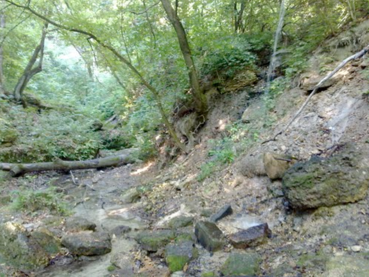 Screen Shot 2017-03-22 at 19.05.46.png